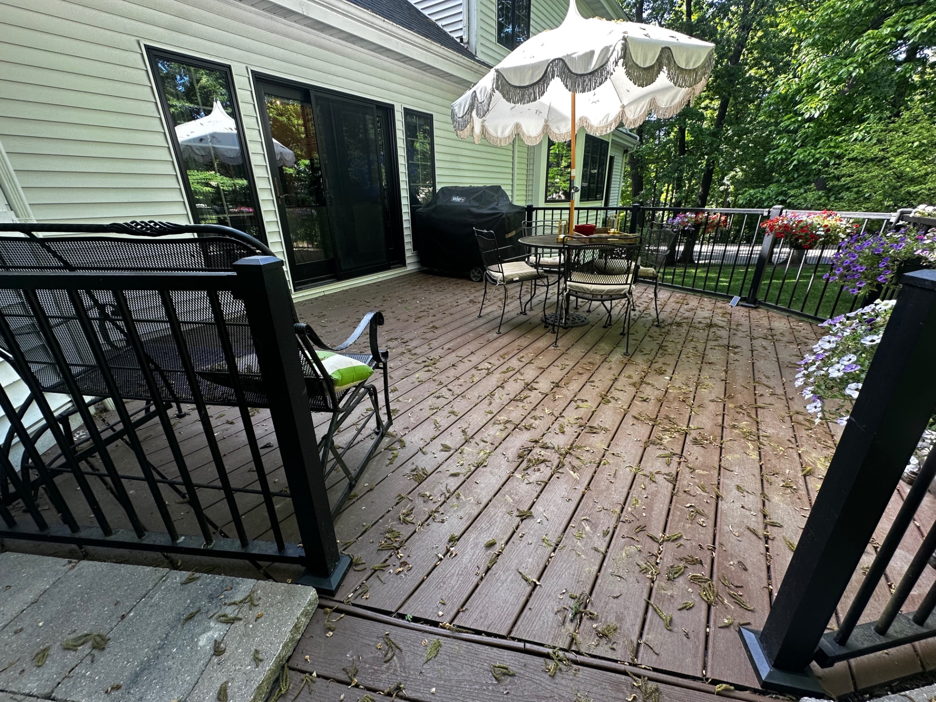 Deck before pressure washing